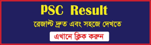 Psc Result Chittagong Board Download Guide